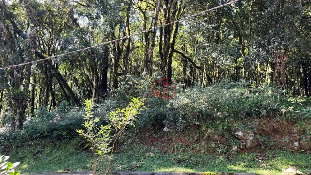 Loteamento e Condomínio, 734 m² - Foto 3