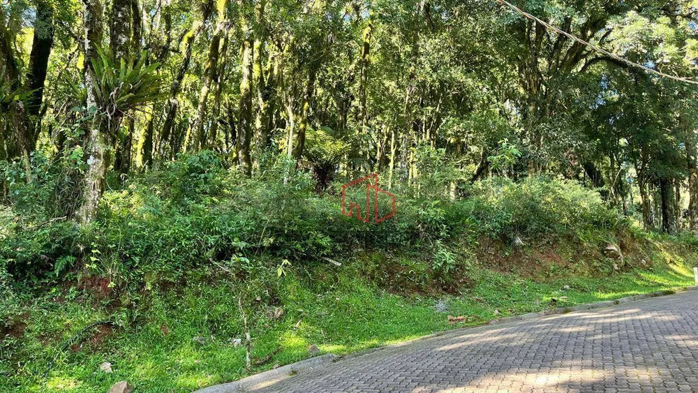 Loteamento e Condomínio, 734 m² - Foto 4