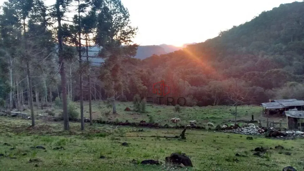 Sítio, 3 hectares - Foto 1