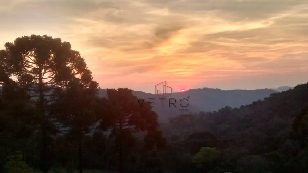 Sítio, 3 hectares - Foto 4