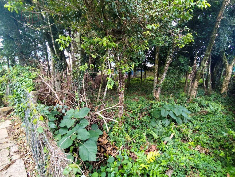 Loteamento e Condomínio, 490 m² - Foto 4