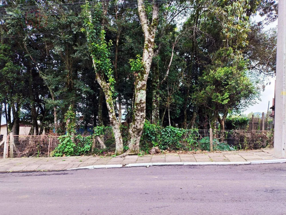 Loteamento e Condomínio, 490 m² - Foto 3