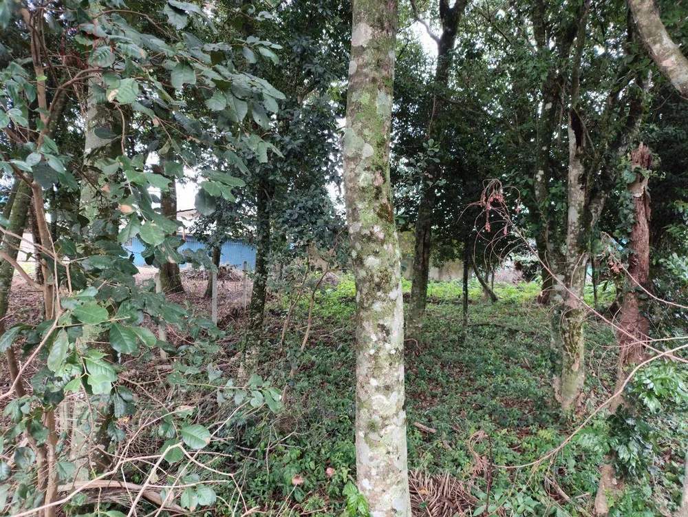 Loteamento e Condomínio, 490 m² - Foto 5