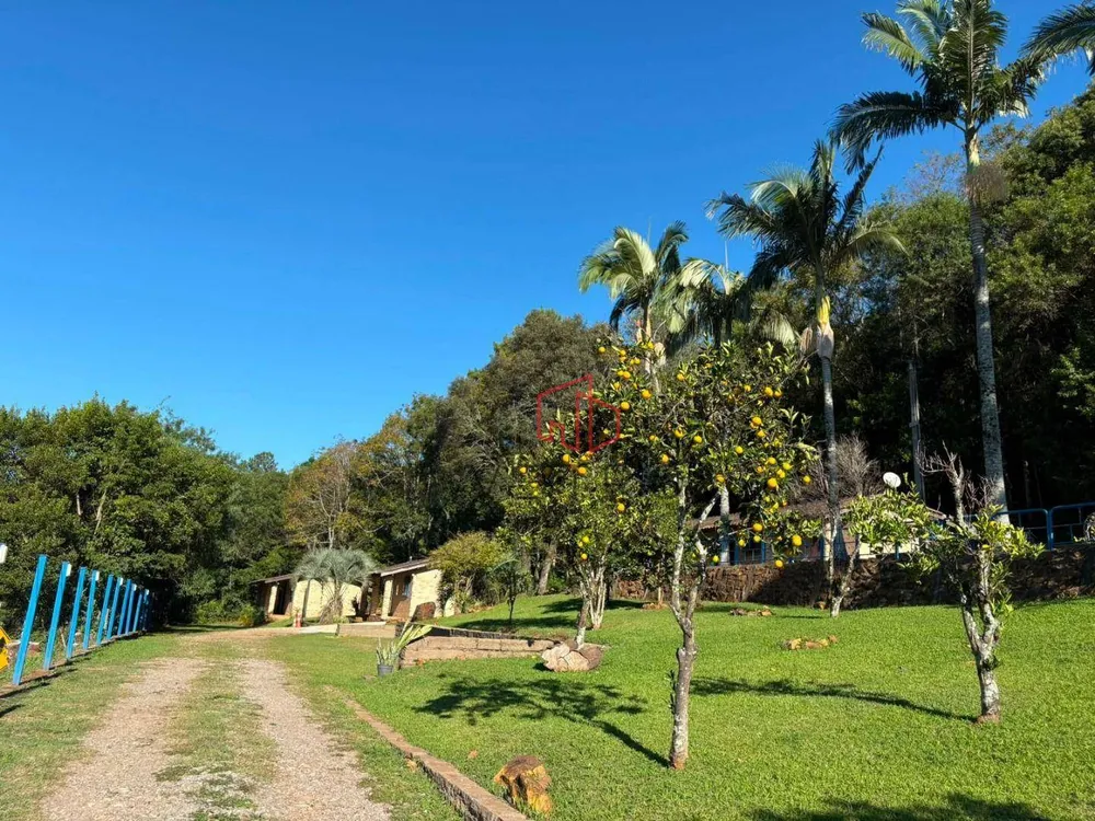 Sítio, 5 quartos, 10000 m² - Foto 3