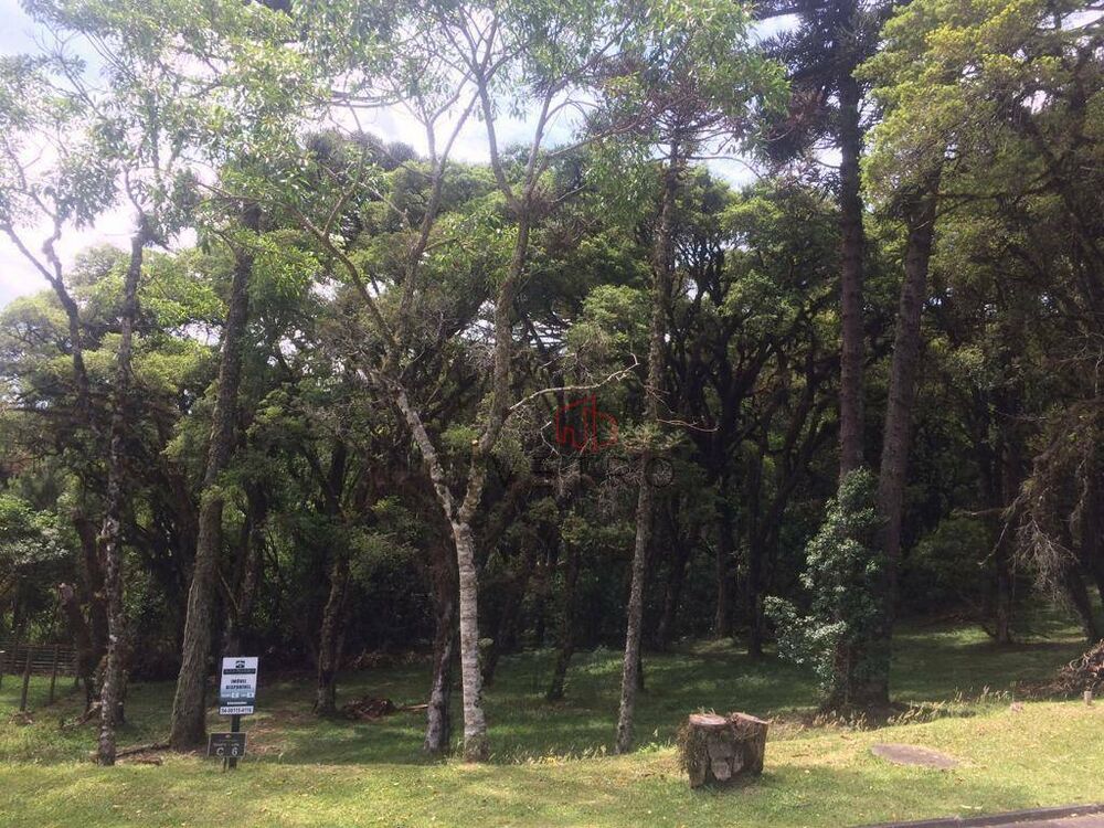 Loteamento e Condomínio, 595 m² - Foto 3