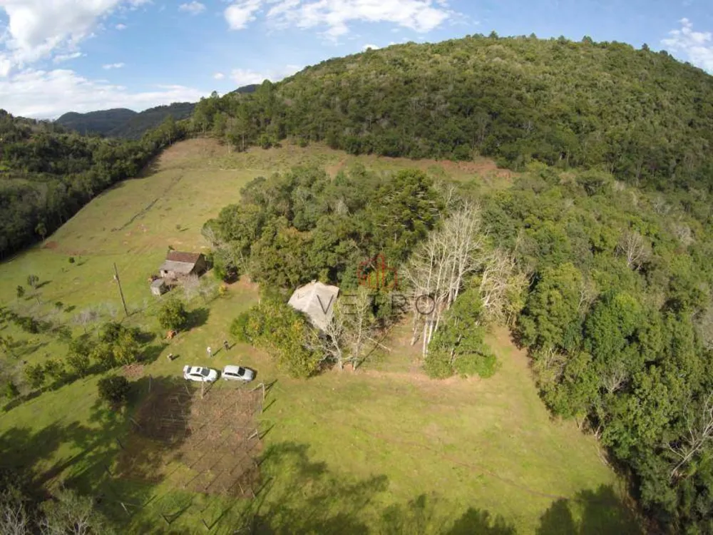Sítio, 22 hectares - Foto 1