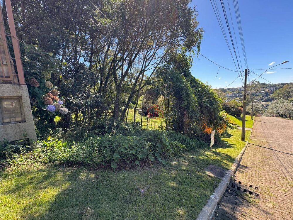 Loteamento e Condomínio, 600 m² - Foto 2