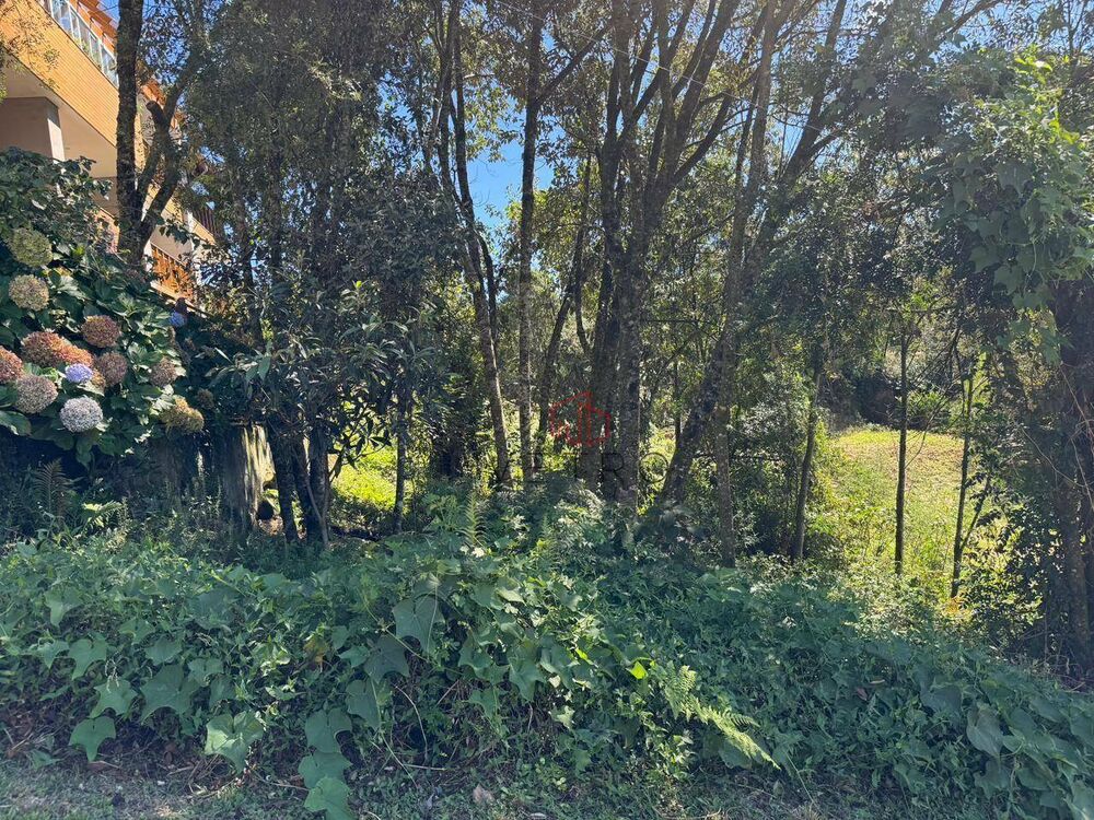 Loteamento e Condomínio, 600 m² - Foto 5