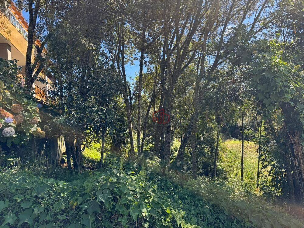 Loteamento e Condomínio, 600 m² - Foto 4