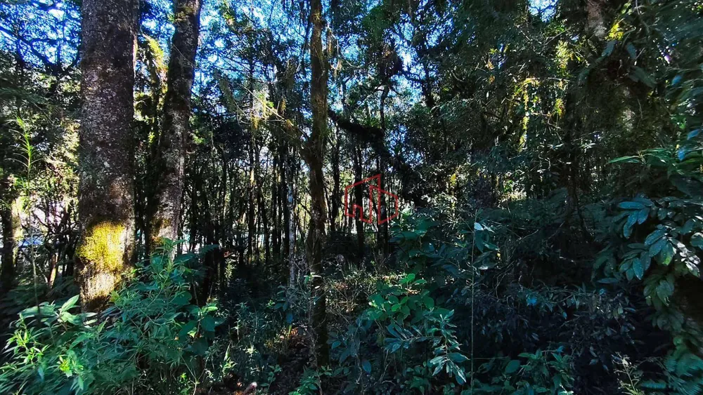 Loteamento e Condomínio, 628 m² - Foto 5