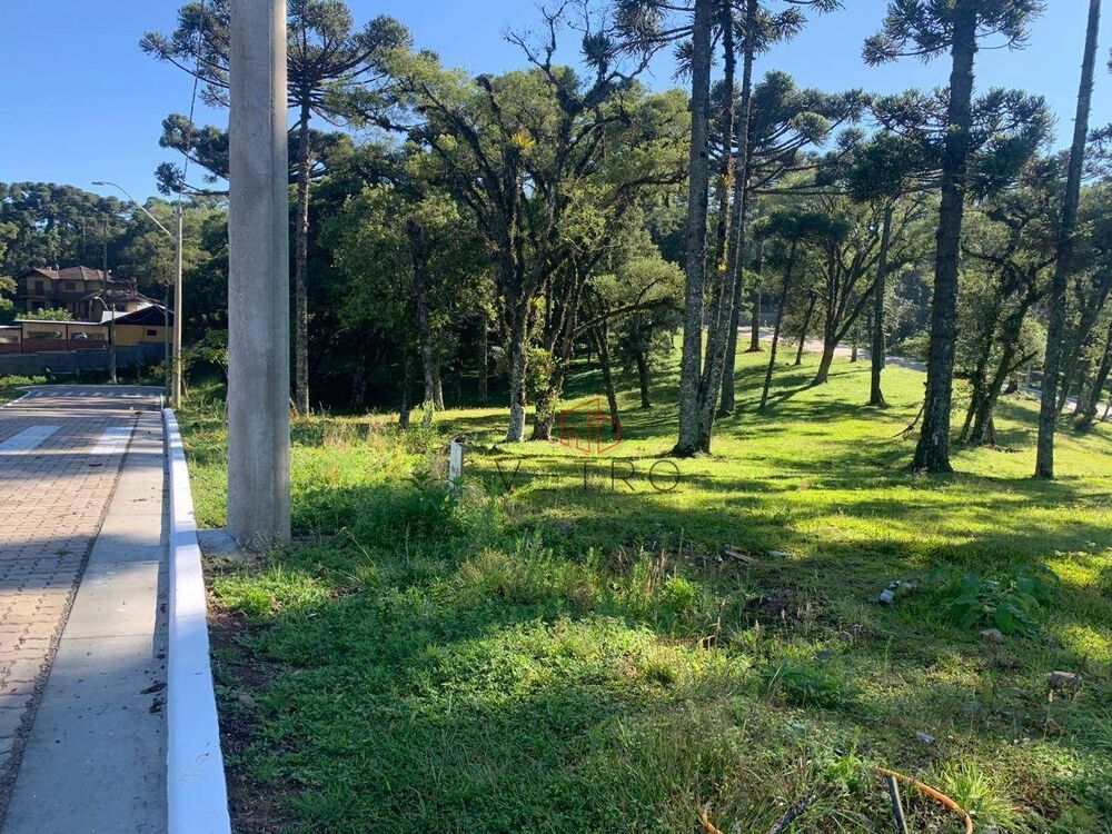 Loteamento e Condomínio, 421 m² - Foto 2