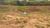 Terreno, 1000 m² - Foto 1