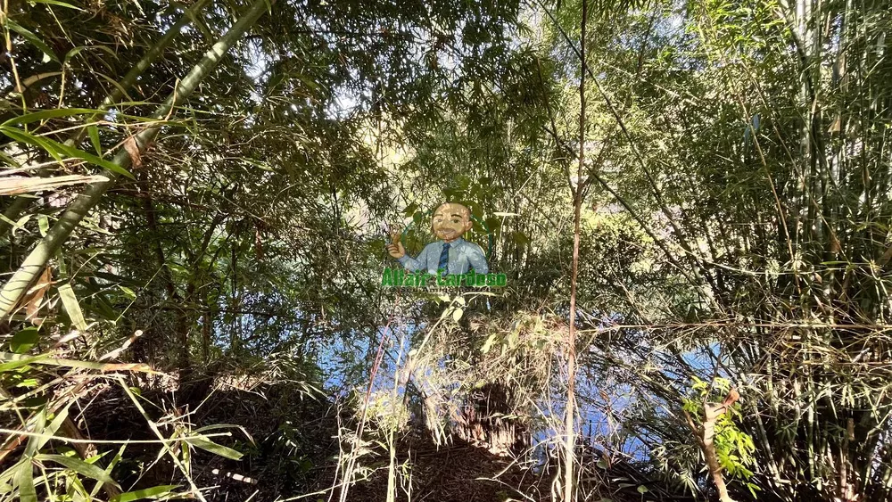 Terreno, 8000 m² - Foto 3