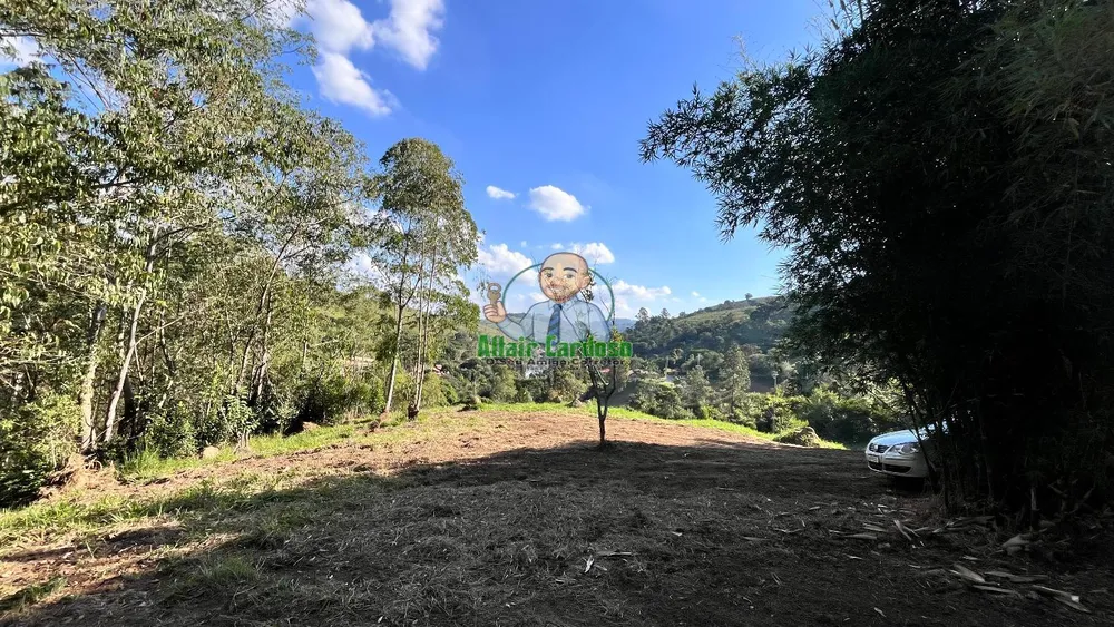 Terreno, 8000 m² - Foto 4
