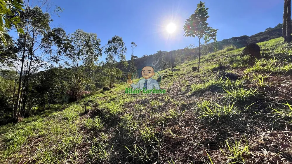 Terreno, 8000 m² - Foto 15
