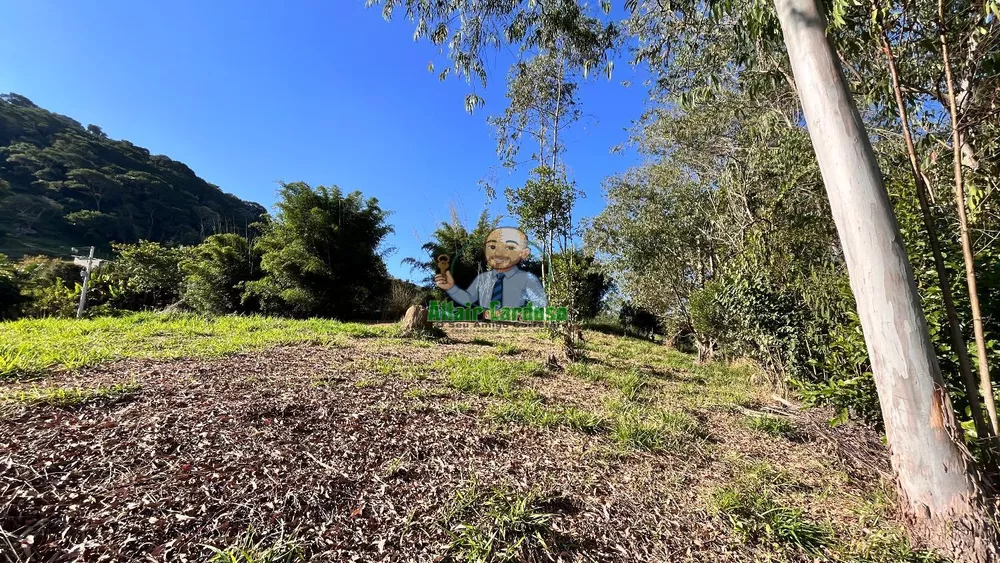 Terreno, 8000 m² - Foto 4