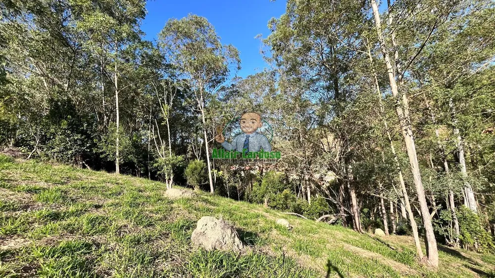 Terreno, 8000 m² - Foto 10