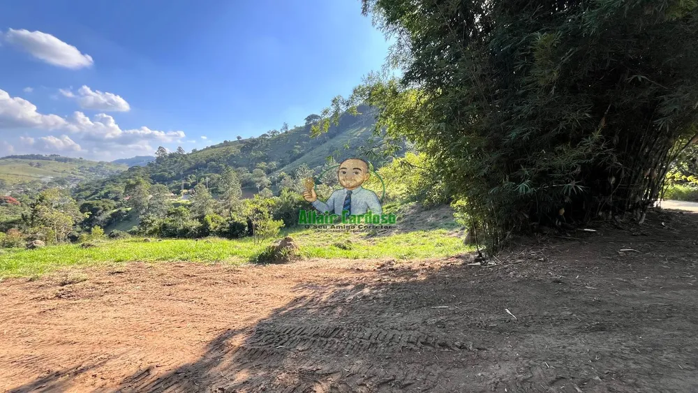 Terreno, 8000 m² - Foto 2