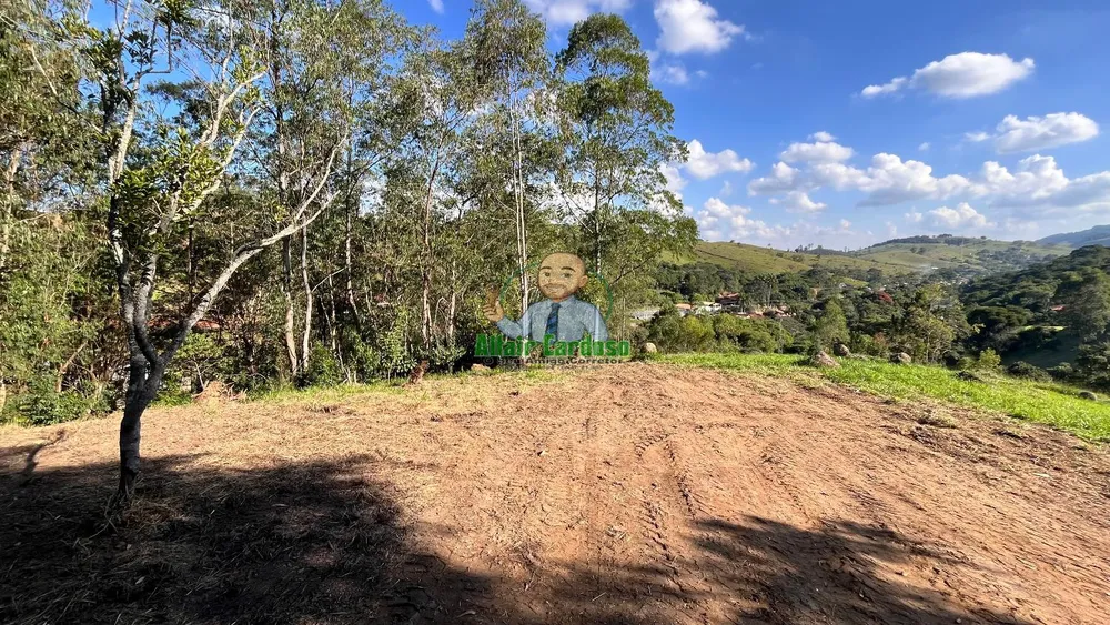 Terreno, 8000 m² - Foto 3