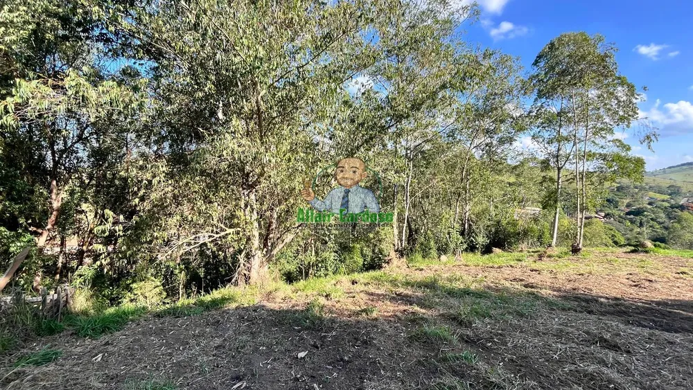 Terreno, 8000 m² - Foto 6