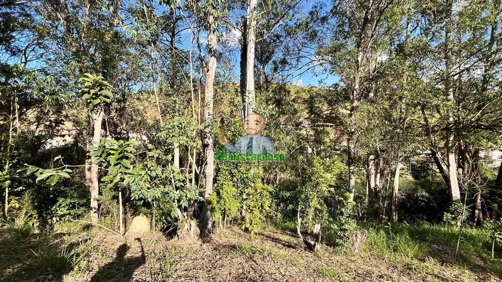 Terreno, 8000 m² - Foto 14