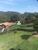 Chácara, 5 quartos, 5000 m² - Foto 5