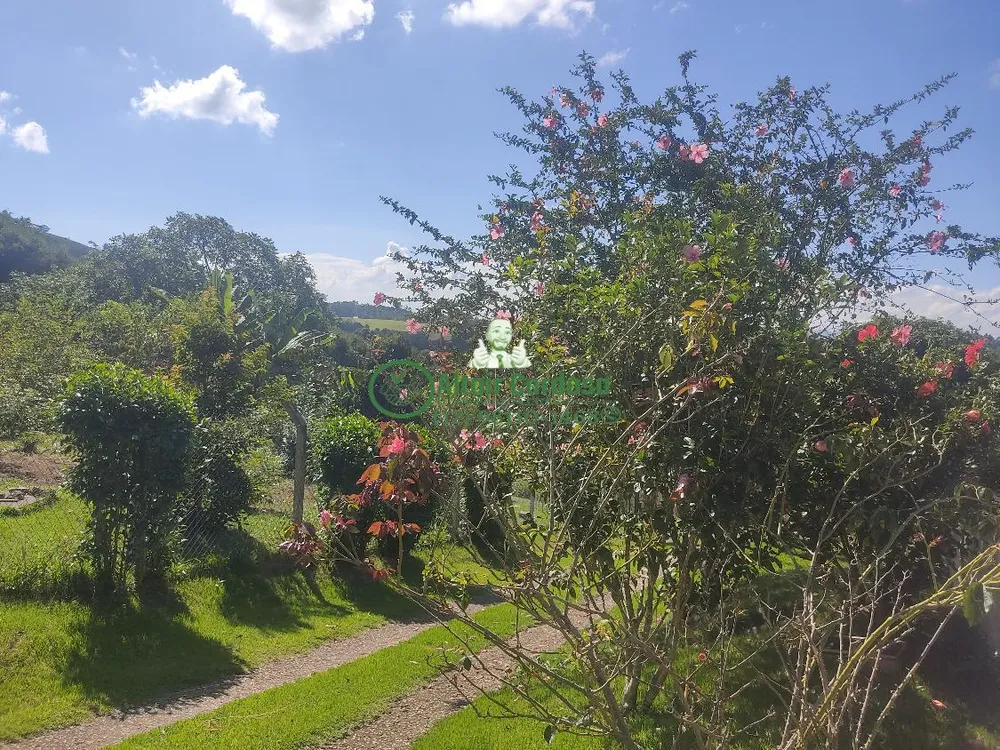 Chácara, 6 quartos, 5000 m² - Foto 3