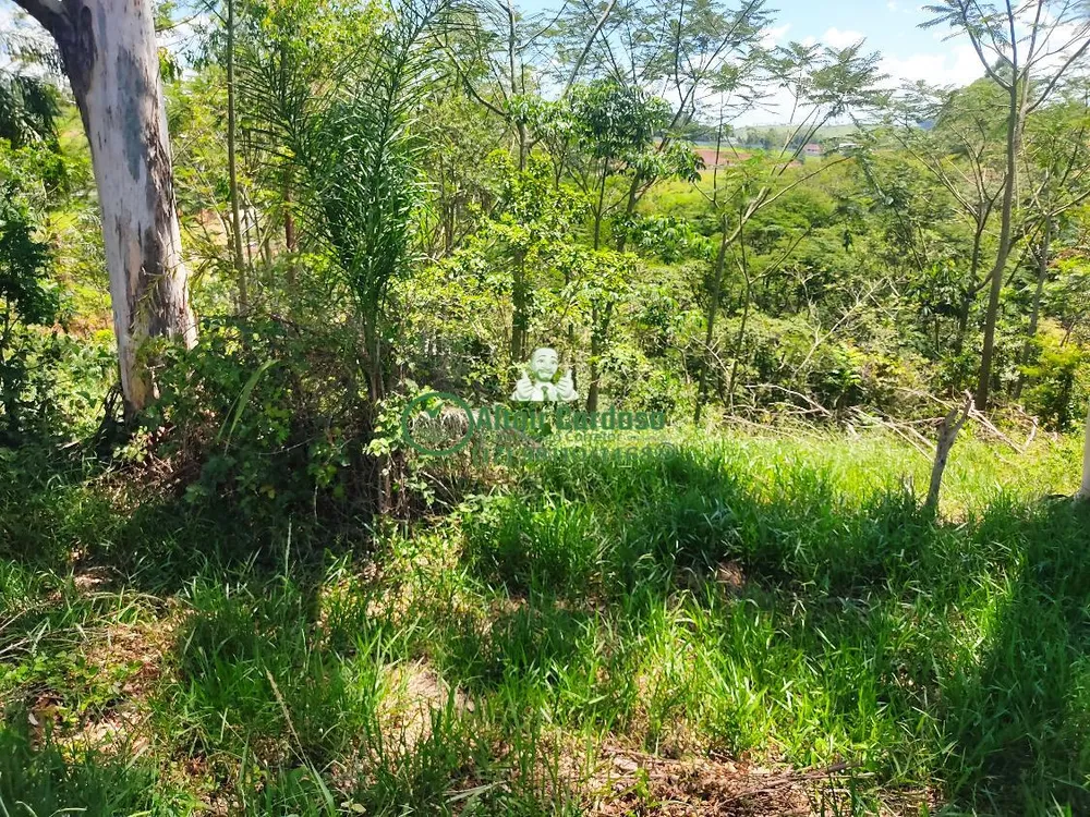 Terreno, 1782 m² - Foto 5