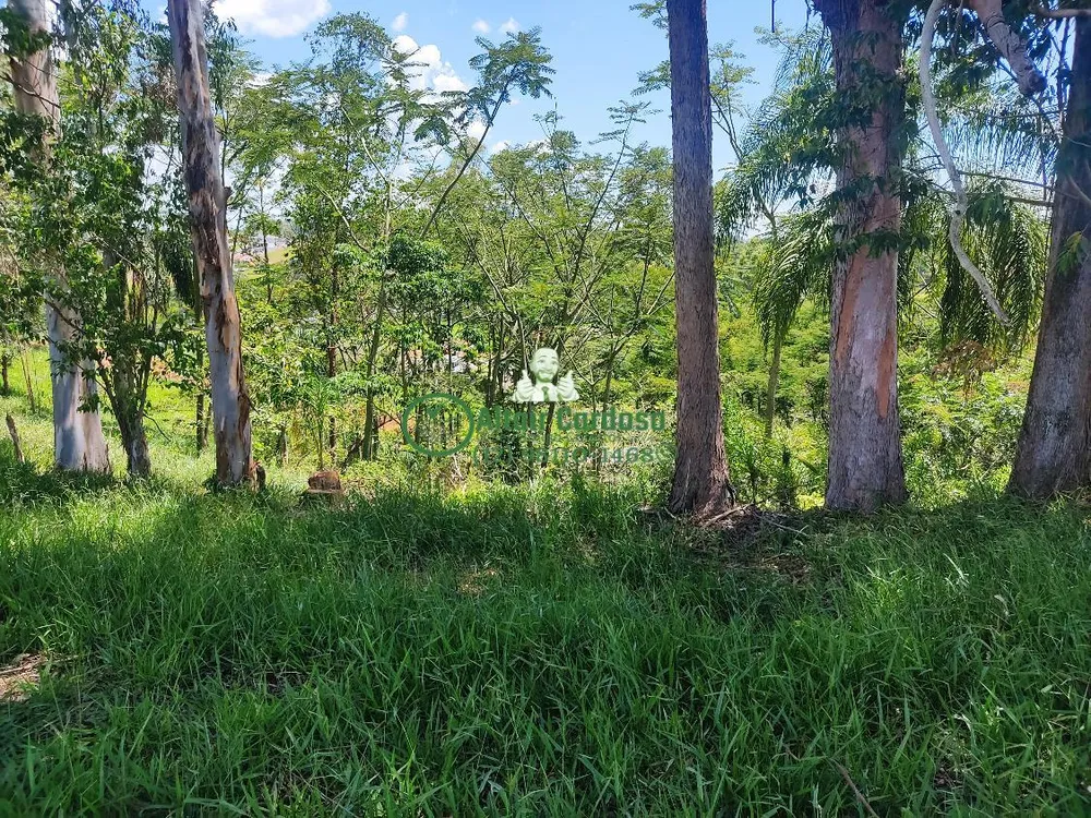 Terreno, 1782 m² - Foto 4