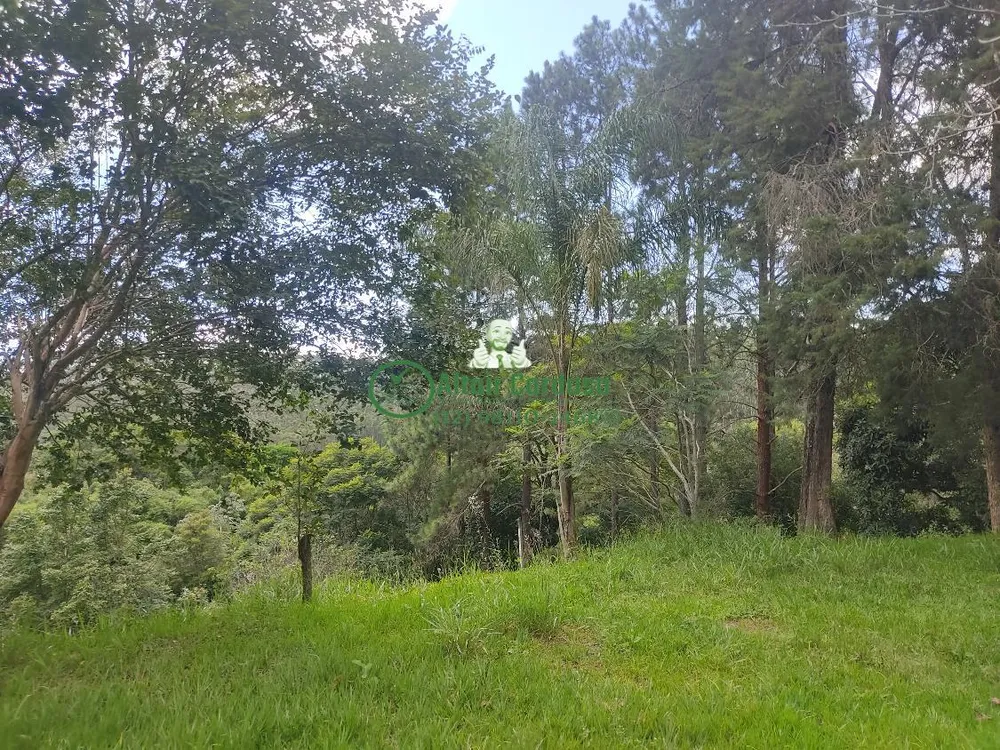 Chácara, 4 quartos, 6700 m² - Foto 4