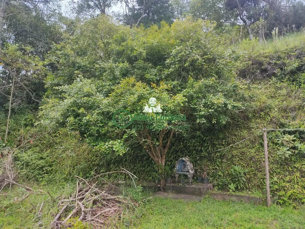 Chácara, 4 quartos, 6700 m² - Foto 1