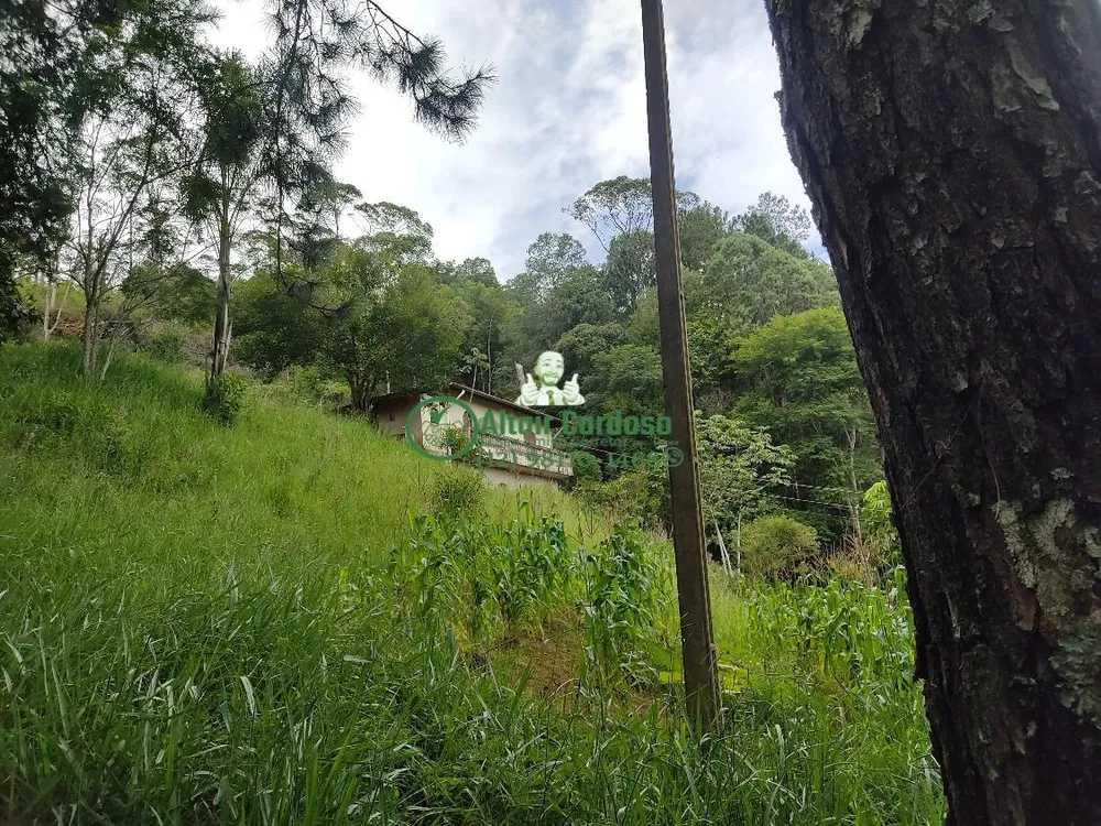 Chácara, 4 quartos, 6700 m² - Foto 2