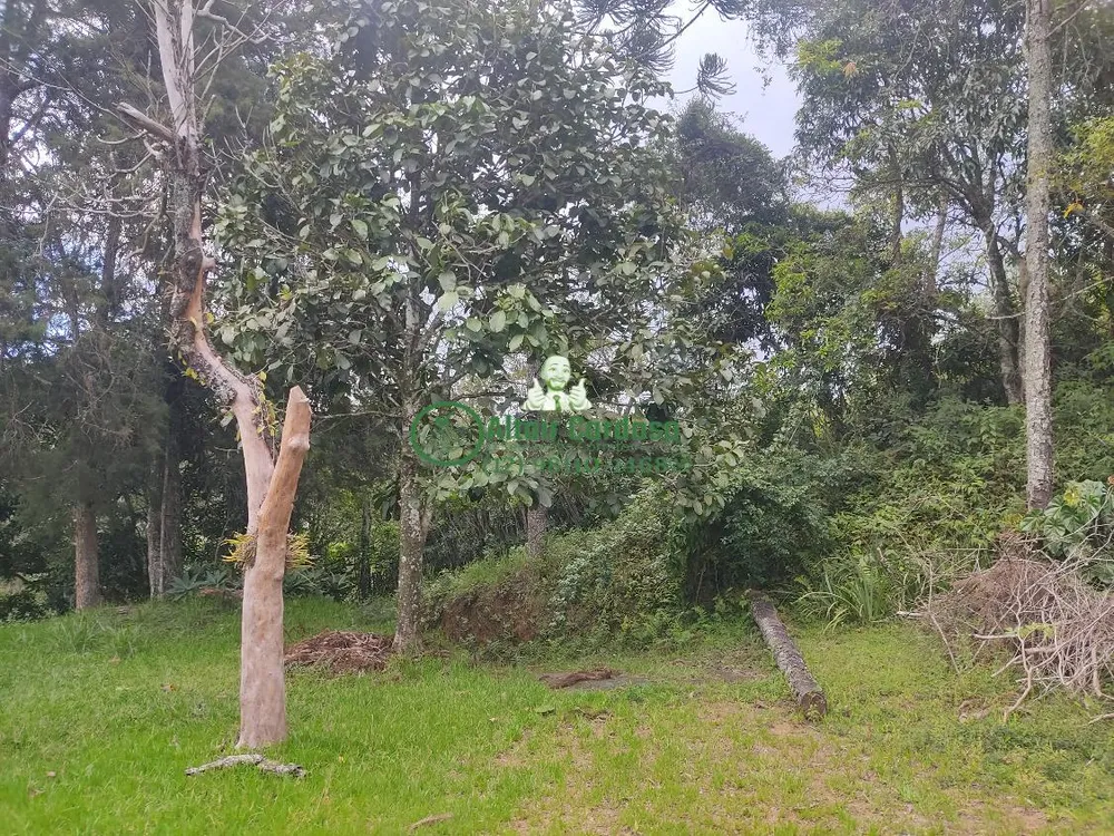 Chácara, 4 quartos, 6700 m² - Foto 5