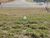 Terreno, 1000 m² - Foto 2