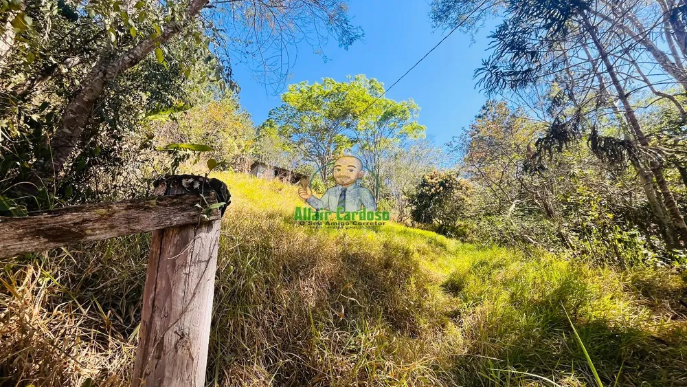Terreno, 5000 m² - Foto 4