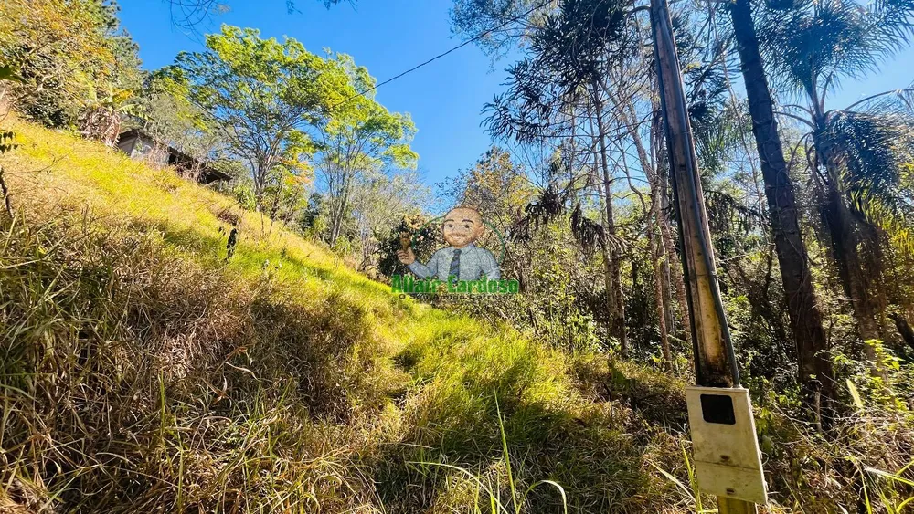 Terreno, 5000 m² - Foto 5