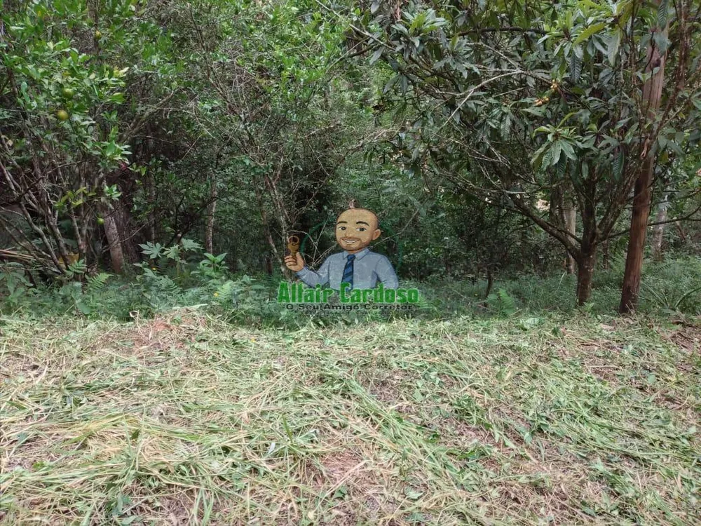 Terreno, 5000 m² - Foto 2