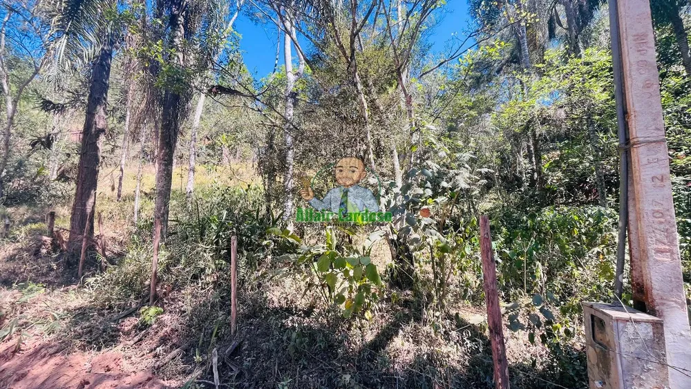 Terreno, 5000 m² - Foto 14