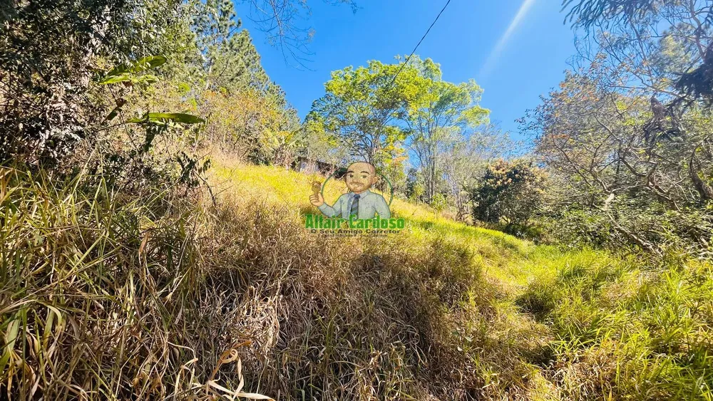 Terreno, 5000 m² - Foto 6