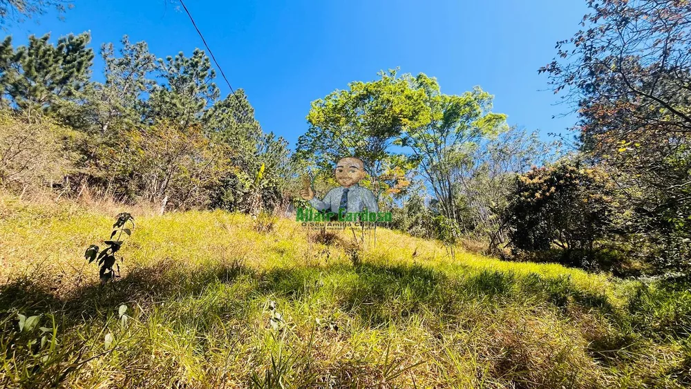 Terreno, 5000 m² - Foto 4