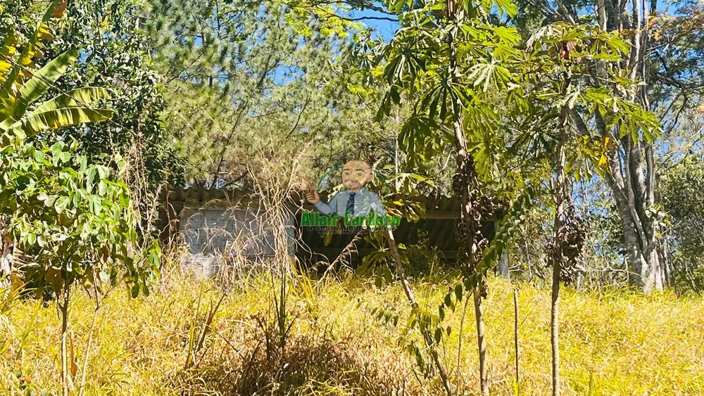 Terreno, 5000 m² - Foto 12