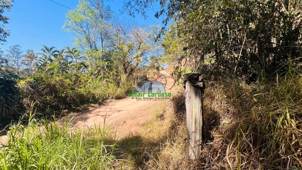 Terreno, 5000 m² - Foto 3