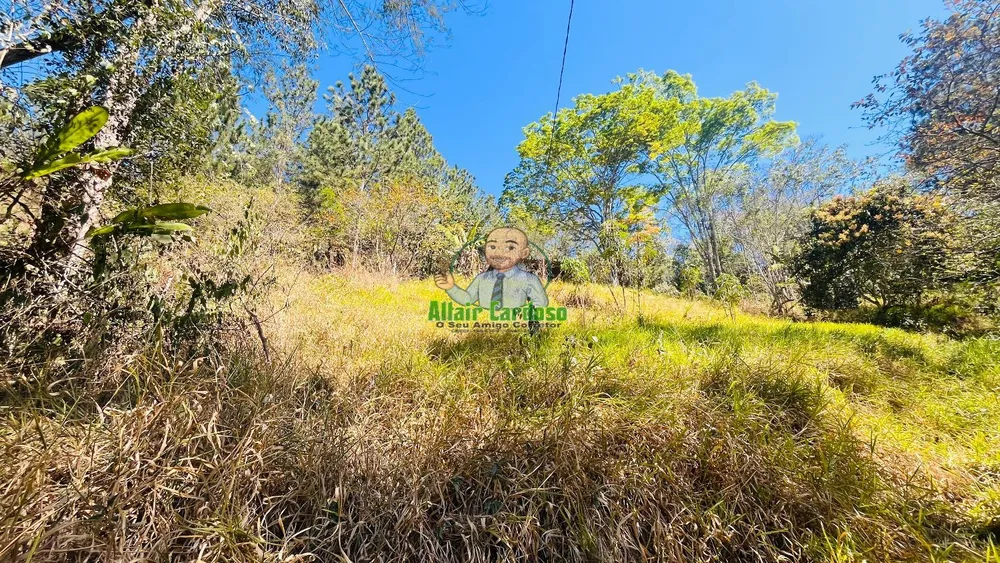 Terreno, 5000 m² - Foto 7