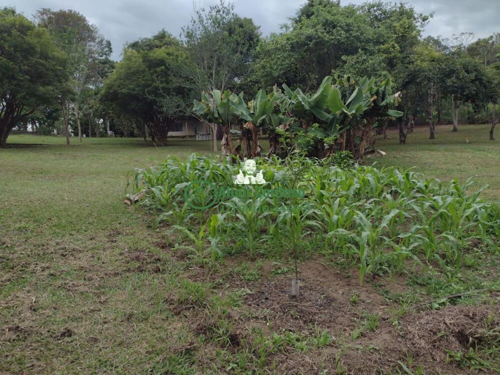 Chácara, 4 quartos, 6160 m² - Foto 8