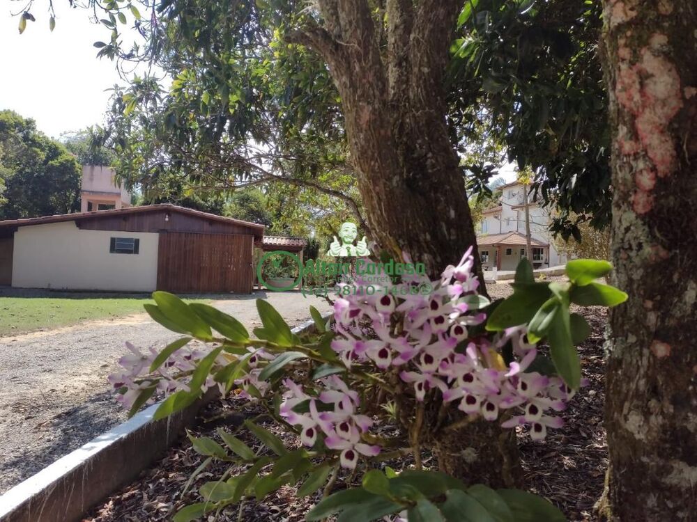 Chácara, 4 quartos, 6160 m² - Foto 12