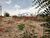 Terreno, 275 m² - Foto 5