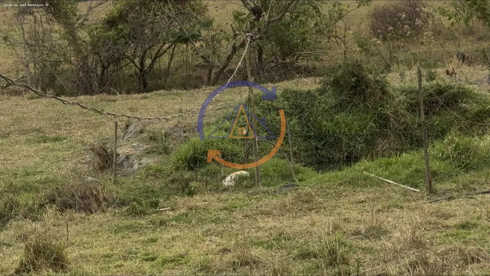 Chácara, 3 quartos, 4 hectares - Foto 4