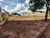 Terreno, 278 m² - Foto 3