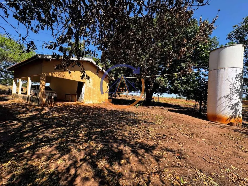 Chácara, 4 hectares - Foto 15