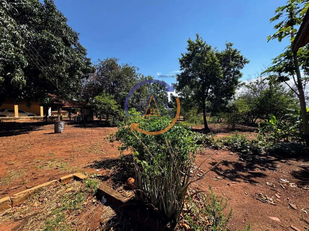 Chácara, 4 hectares - Foto 16